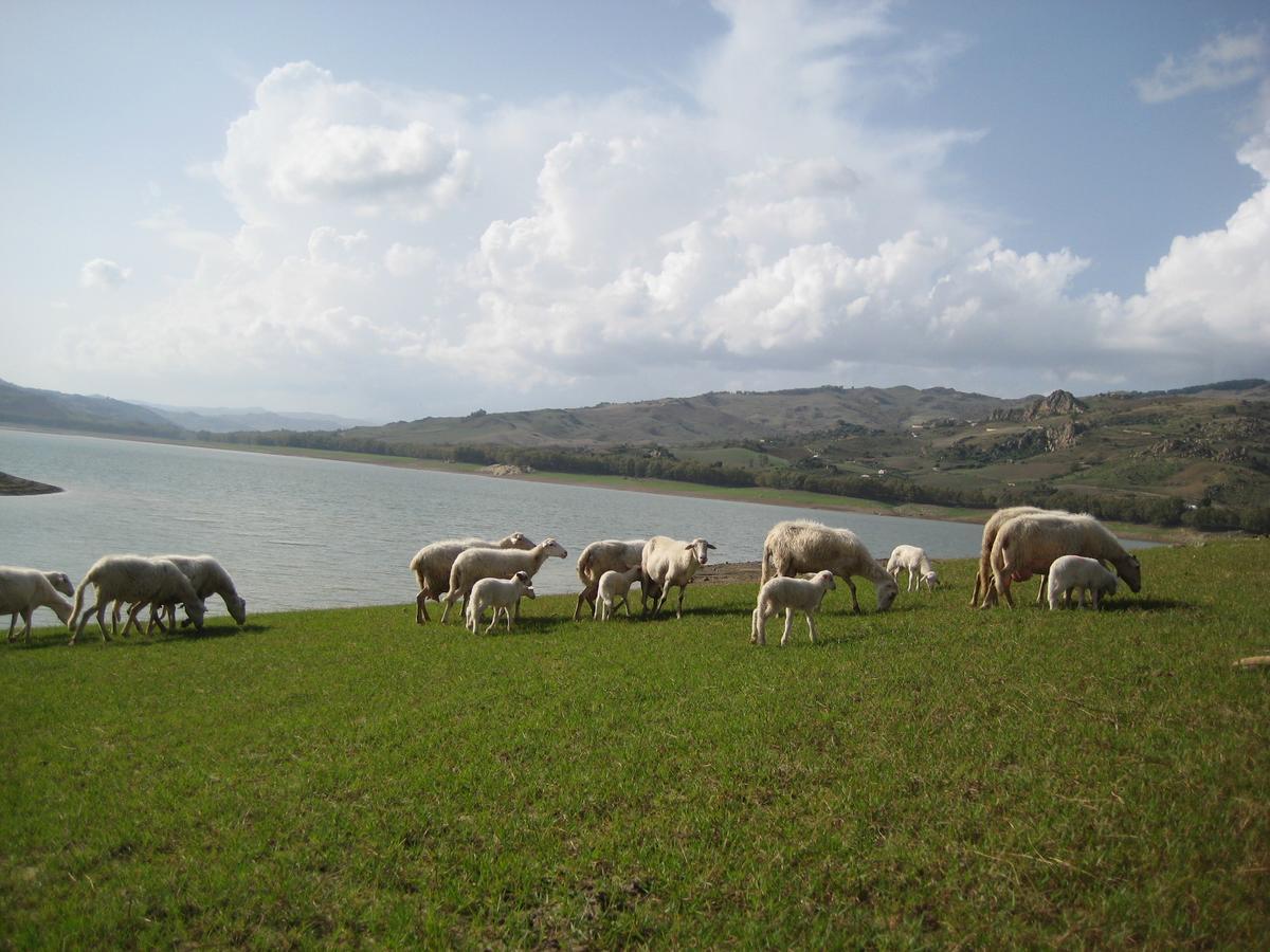 Oasi Del Lago Regalbuto Extérieur photo